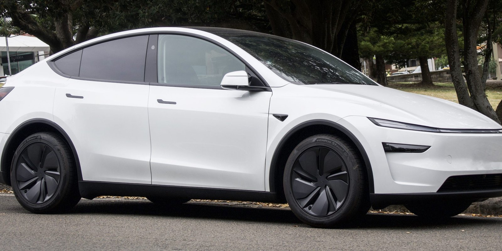 White Tesla Model Y electric SUV parked on a tree-lined street